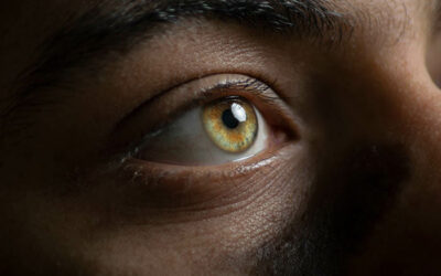 Fotka z článku: Home Co znamená „catchlight“?